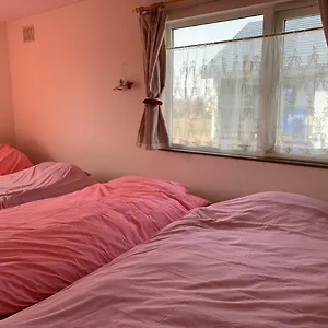 桜 ゲストハウス
